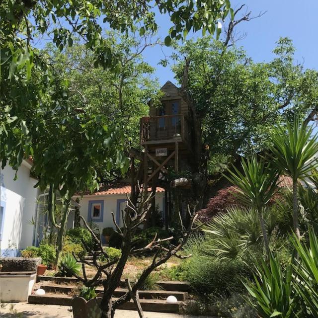 Casa Oliva - Casa Da Serra Porto de Mós Exteriör bild