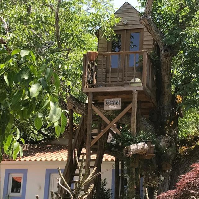 Casa Oliva - Casa Da Serra Porto de Mós Exteriör bild