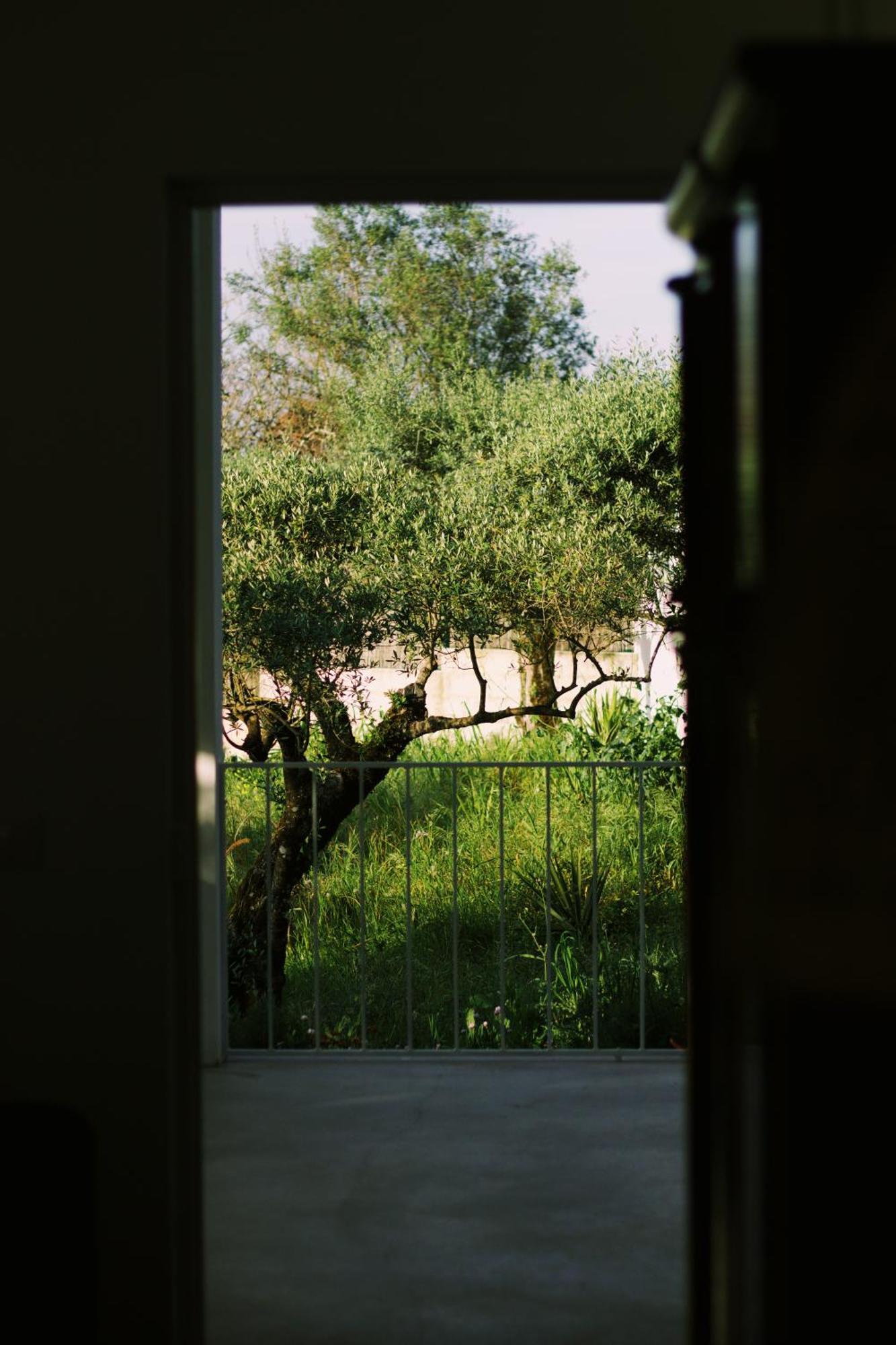 Casa Oliva - Casa Da Serra Porto de Mós Exteriör bild